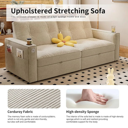 Loveseat Sleeper Sofa with Pull Out Bed, with Pockets and USB